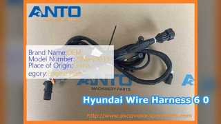 Arnés de cables de excavadora Hyundai 6-0